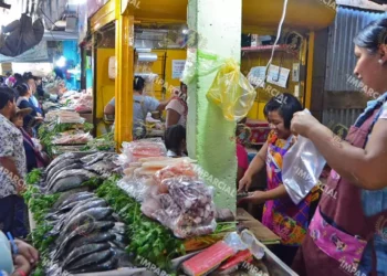 Foto: Adrián Gaytán // En la Central de Abasto, además de la zona de pescados y mariscos, hay puestos temporales con este tipo de productos.