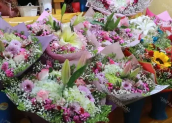 ¿Qué flores regalar el 14 de febrero? Las 3 opciones más duraderas para San Valentín