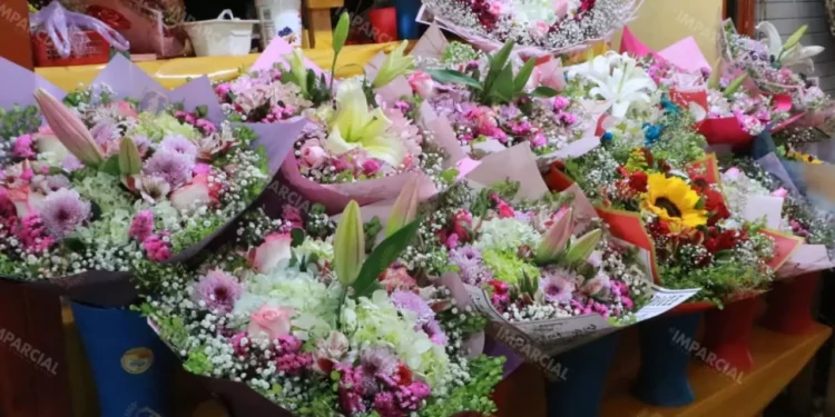 ¿Qué flores regalar el 14 de febrero? Las 3 opciones más duraderas para San Valentín