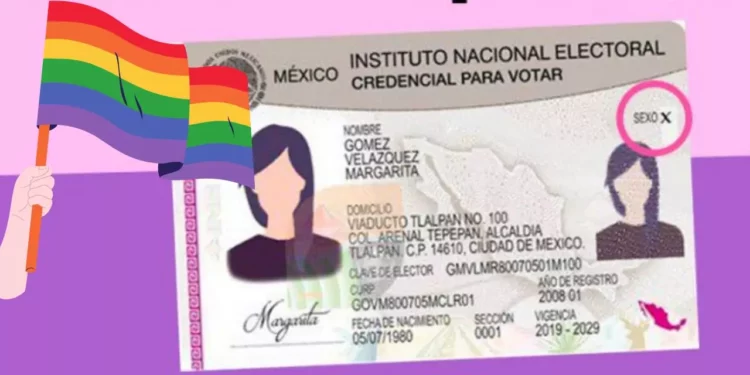 ¿Eres no binarie? Así puedes tramitar tu credencial de elector en México