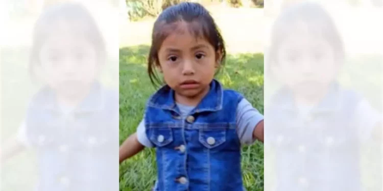 Daisy fue vista por última ocasión en la colonia Barranca Seca.