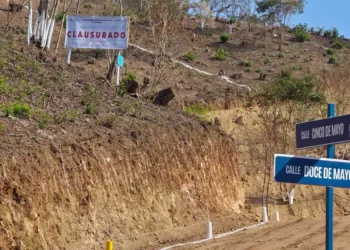 La dependencia advirtió que en ambos predios se afectó la vegetación natural.