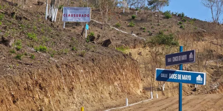 La dependencia advirtió que en ambos predios se afectó la vegetación natural.