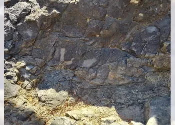 Las huellas fósiles de dinosaurios halladas datan de aproximadamente 168 millones de años.