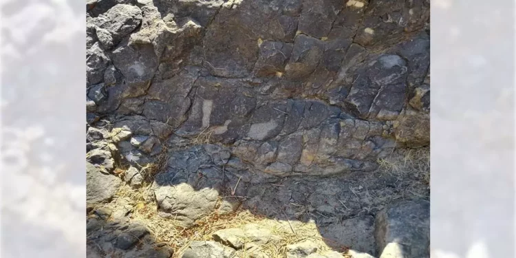 Las huellas fósiles de dinosaurios halladas datan de aproximadamente 168 millones de años.