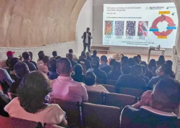 Los casos detectados en la Mixteca se concentran principalmente en los distritos de Tlaxiaco y Juxtlahuaca.