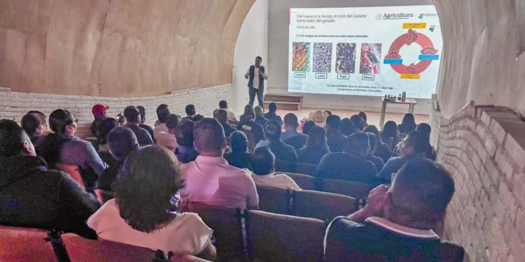 Los casos detectados en la Mixteca se concentran principalmente en los distritos de Tlaxiaco y Juxtlahuaca.