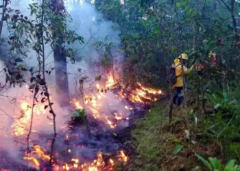Foto: Coesfo // Los combatientes están expuestos a elevadas temperaturas y gases tóxicos.