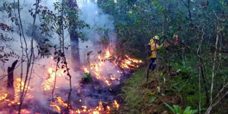 Foto: Coesfo // Los combatientes están expuestos a elevadas temperaturas y gases tóxicos.