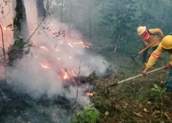Foto: Coesfo // Muy temprano inició la temporada de incendios en la entidad.
