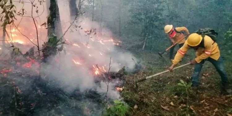Foto: Coesfo // Muy temprano inició la temporada de incendios en la entidad.