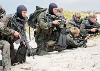 Senado aprueba entrada de Navy SEALs a México para entrenamiento élite con Semar