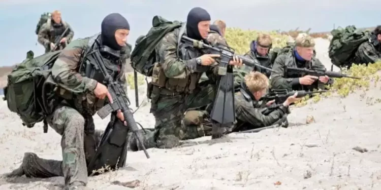 Senado aprueba entrada de Navy SEALs a México para entrenamiento élite con Semar