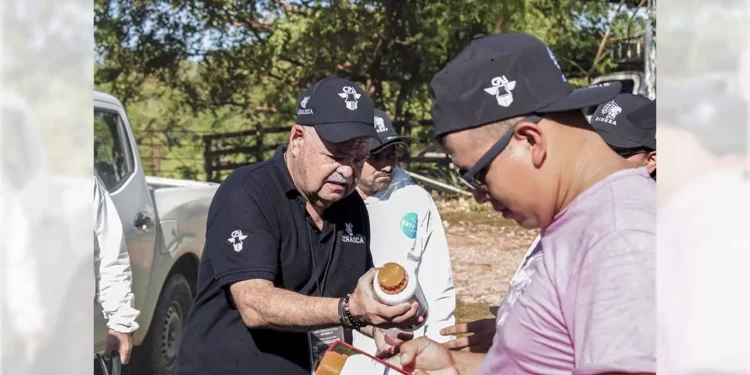 Foto: Gobierno de México // Oaxaca se enfocará en localizar casos de barrenador en humanos.