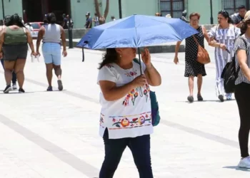 ¡Calor extremo en febrero! 27 estados superarán los 35°C por primera onda de calor de 2026