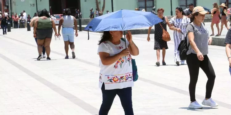 ¡Calor extremo en febrero! 27 estados superarán los 35°C por primera onda de calor de 2026
