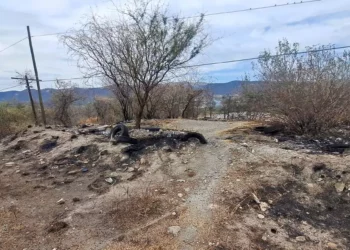 Respecto al basurero clandestino, detallaron que este se ha incendiado en varias ocasiones.