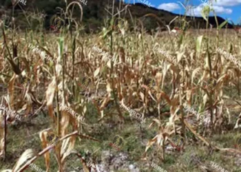 Foto: Archivo El Imparcial // Se perfila un severo estiaje para 2026 en Oaxaca.