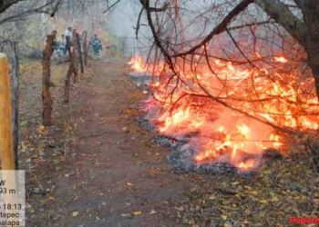 Foto: Coesfo // Un tercio de los incendios es intencional, afirma Coesfo.