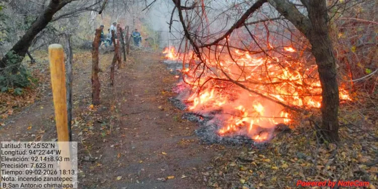 Foto: Coesfo // Un tercio de los incendios es intencional, afirma Coesfo.