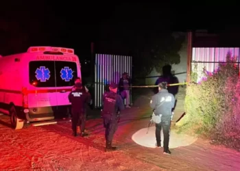 Asesinan a mesero en bar de Ejutla de Crespo; sicarios logran escapar