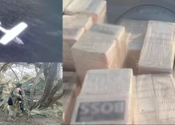 Detectan narcoavioneta en Oaxaca; aseguran más de media tonelada de cocaína