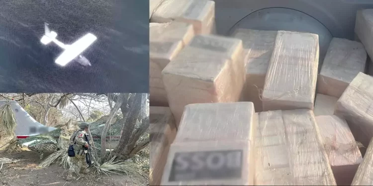 Detectan narcoavioneta en Oaxaca; aseguran más de media tonelada de cocaína