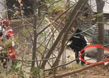 Investigan balacera en Santa Rosa Panzacola que terminó con un civil abatido tras ataque a policías