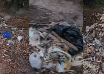 VIDEO | Basura avanza en Santiago Laollaga ante la omisión municipal