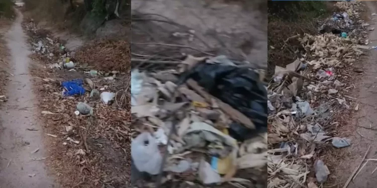 VIDEO | Basura avanza en Santiago Laollaga ante la omisión municipal