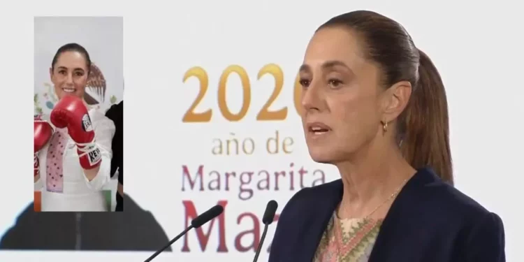 ‘Boxea por la Paz’: la apuesta social de Claudia Sheinbaum con becas de 9 mil pesos para entrenadores