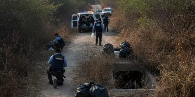 Hallan posibles restos humanos embolsados entre Puente Madera y Rancho Llano