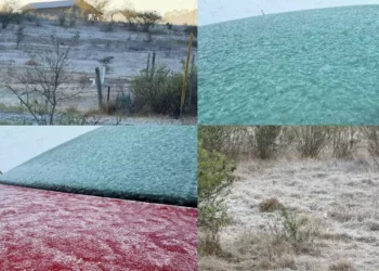 Heladas de hasta -5°c congelan Tlaxiaco tras el paso del frente frío 37