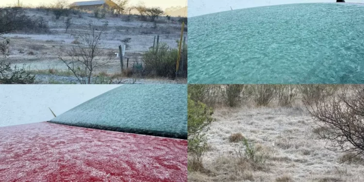 Heladas de hasta -5°c congelan Tlaxiaco tras el paso del frente frío 37