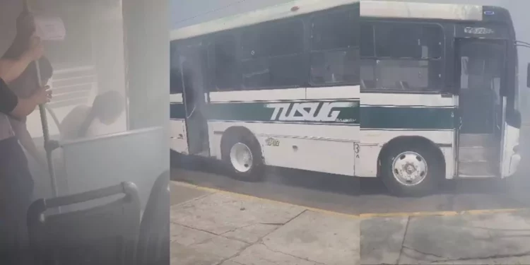 Viaje de rutina termina en susto: camión se llena de humo en plena calzada