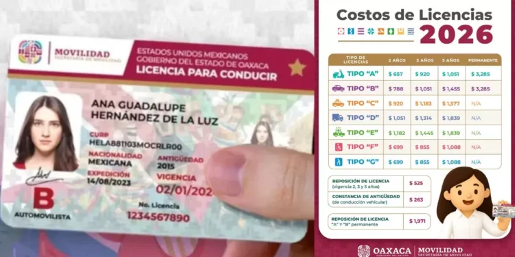 ¿Cuánto te costará conducir en Oaxaca este 2026? Conoce los nuevos precios de las licencias