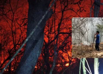 Incendio arrasa en la Costa de Oaxaca: niños se suman a brigadas mientras el fuego sigue activo en Xadani
