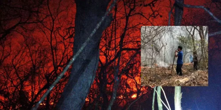 Incendio arrasa en la Costa de Oaxaca: niños se suman a brigadas mientras el fuego sigue activo en Xadani
