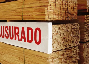 Foto: ilustrativa // El operativo fue coordinado por la Profepa y contó con la participación de la Conanp, Ecología municipal, Defensa, Guardia Nacional, Semar, FGR, policías estatales y municipales.