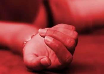 Van 7 mujeres asesinadas de manera violenta en 2026