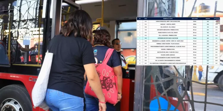 Oaxaca reestructura el transporte público: 16 nuevas rutas del BinniBus