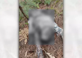 A través de redes sociales, pobladores identificaron el cuerpo del campesino.