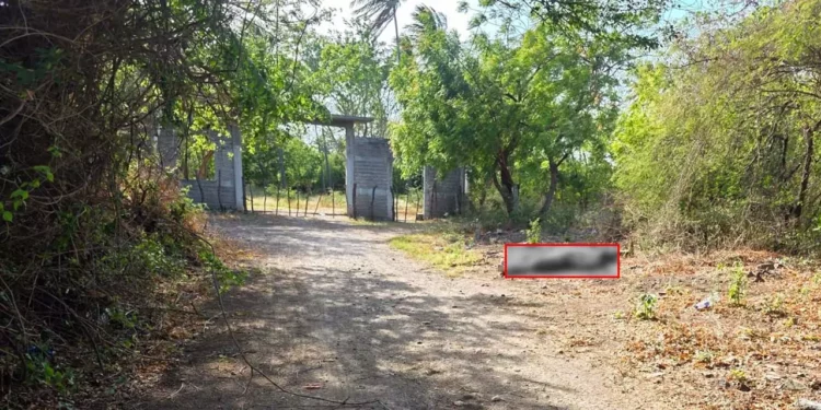 El cuerpo del hombre, quien vestía pantalón rojo y playera gris, fue localizado con las manos atadas y signos de violencia en un camino de terracería.