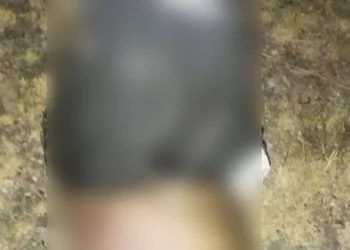 Tras la localización del cadáver, elementos del Grupo de Alto Impacto y de la AEI desplegaron un operativo.