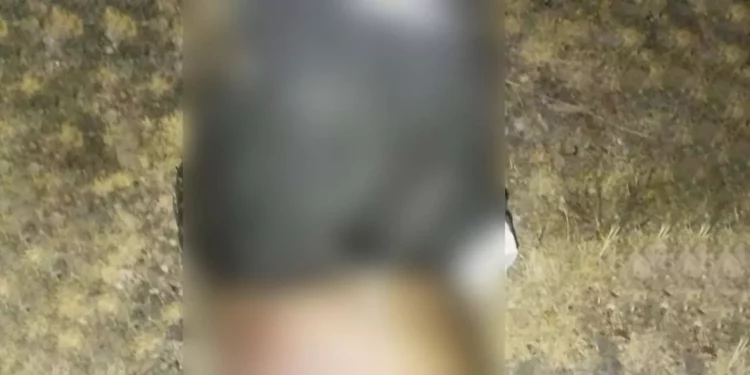 Tras la localización del cadáver, elementos del Grupo de Alto Impacto y de la AEI desplegaron un operativo.