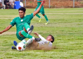 Chapulineros está en liguilla de TPD.