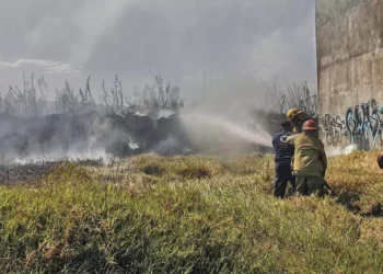 Foto: Archivo El Imparcial // Los incendios se han registrado principalmente en las regiones del Istmo de Tehuantepec, Mixteca y la Sierra Sur.