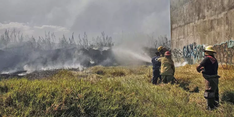 Foto: Archivo El Imparcial // Los incendios se han registrado principalmente en las regiones del Istmo de Tehuantepec, Mixteca y la Sierra Sur.