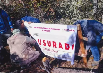 Se ordenó como medida de seguridad la clausura temporal total del sitio.