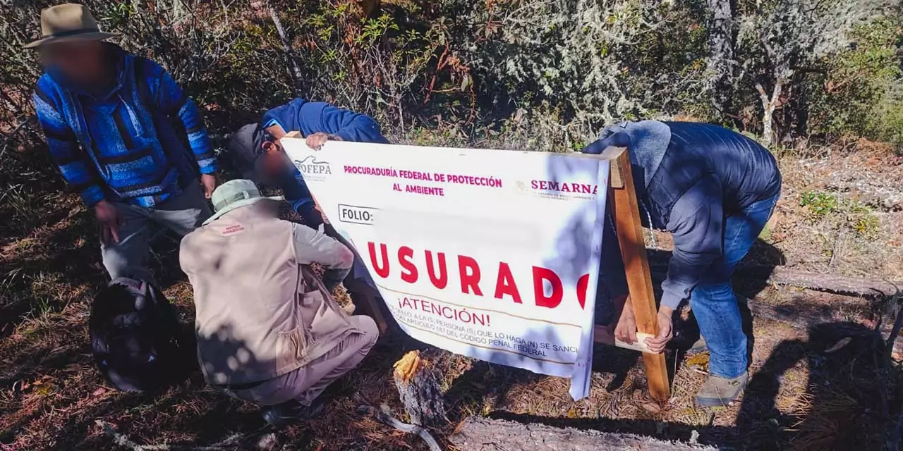 Se ordenó como medida de seguridad la clausura temporal total del sitio.